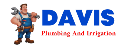 Trusted plumber in GRUVER